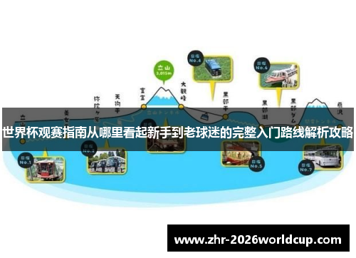 世界杯观赛指南从哪里看起新手到老球迷的完整入门路线解析攻略